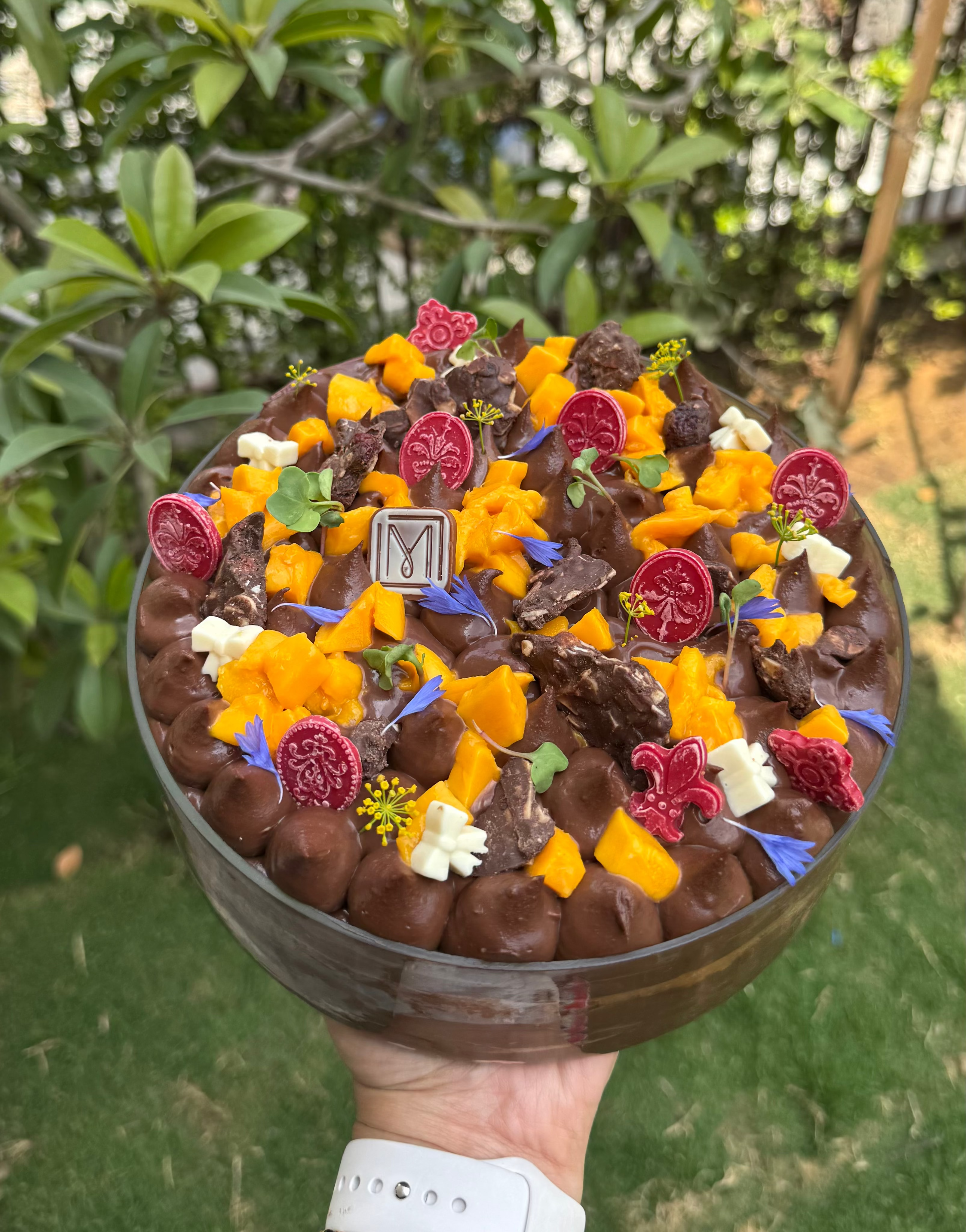 Mango Chocolate Pudding