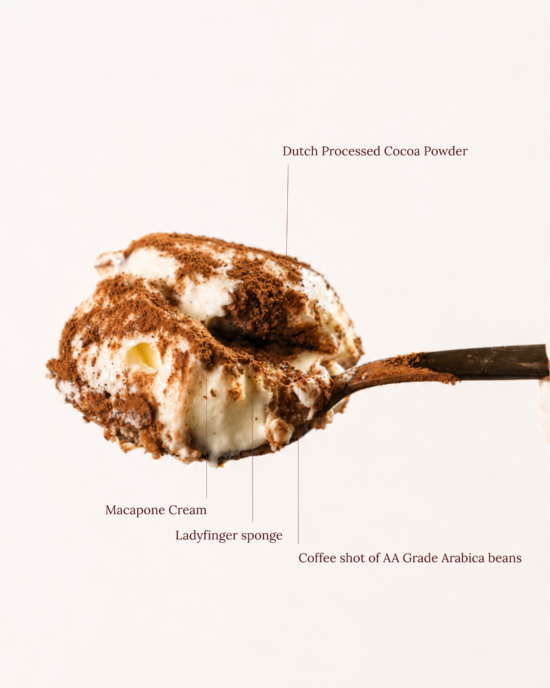 Classic Tiramisu
